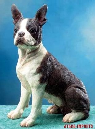 boston terrier dog statue