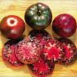 Russian Black Krim Tomato 20 seeds