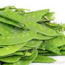 Edible Pod Snow Pea Edible Pod Snow Pea