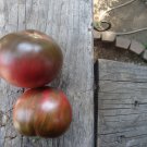 Berkley Pink Tye Dye tomato 20 seeds