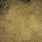 White worm feeder culture LIVE food for most fish fry betta/killfish'frogs/newts