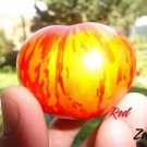Red Zebra tomato 20 seeds *HEIRLOOM Seeds of Life Red Zebra tomato 20 seeds *HEIRLOOM Seeds of Life