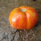 Aunt Lou's Underground Railroad tomato  *HEIRLOOM* BEAUTIFUL MULTI COLOR fruit!!