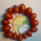 San Marzano tomato RARE! *HEIRLOOM* 20 seeds San Marzano tomato RARE! *HEIRLOOM* 20 seeds