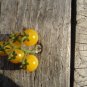 Coyote wild tomato HEIRLOOM Seeds of Life 20 Seeds