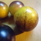 Heirloom tomato seeds Build a variety pack, or take all 50! *SURVIVAL SEEDS* Heirloom tomato seeds Build a variety pack, or take all 50! *SURVIVAL SEEDS*