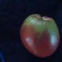 Heirloom tomato seeds Build a variety pack, or take all 50! *SURVIVAL SEEDS*