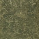 Vinegar Eel culture 2 oz.  LIVE fish food for newborn bettas, Rams, & MORE