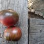 Berkley Pink Tye Dye tomato 20 seeds *HEIRLOOM* Seeds of Life