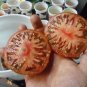 Berkley Pink Tye Dye tomato 20 seeds *HEIRLOOM* Seeds of Life