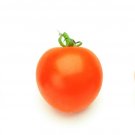 Mini Orange tomato 20 seeds *HEIRLOOM* FREE SHIPPING!