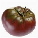 Cherokee Purple Tomato seeds 20 seeds! *HEIRLOOM* SEEDS OF LIFE Cherokee Purple Tomato seeds 20 seeds! *HEIRLOOM* SEEDS OF LIFE