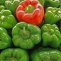 California Wonder green bell pepper 10 seeds *HEIRLOOM* Seeds of Life