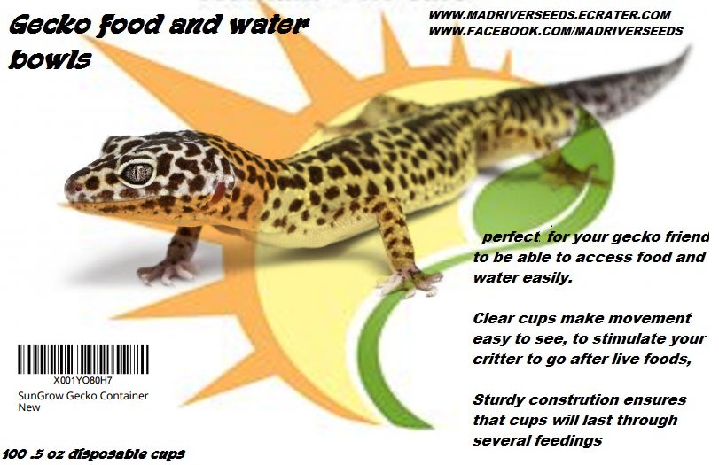 Gecko food and water cups, 15,000 count