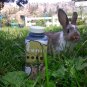 Bunny Joose ORGANIC rabbit manure liquid fertilizer soil / foliar feed