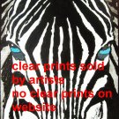 zebra close up art print