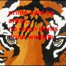 Tigers Eyes Art Print