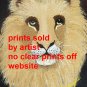 Lion Head Portrait Art Print