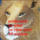 Lion face 8 by 8 art print