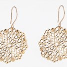 Beautiful 14kt Gold filled earnings