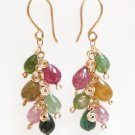 Wonderful 14kt Gold filled earnings with Tourmaline