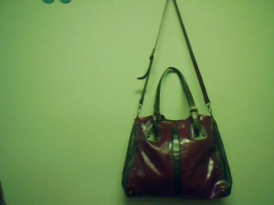 Maxx New York Purse