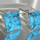 Rare! 12mm Vintage Turquoise with Veins Square