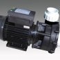 SPA SINGLE SPEED PUMP LX LP-200(Davey maxiflow)