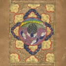 Indo Persian Peacock Bird Miniature Painting Illuminated Manuscript Islamic Art