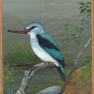 Woodland Kingfisher Bird Miniature Art Handmade Wild Life Ornithology Painting