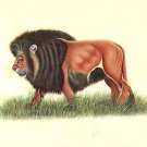 Indian Lion Miniature Painting Handmade Wild Cat Jungle King Animal Nature Art
