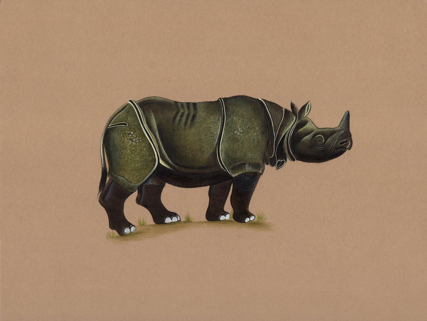 Боевой носорог