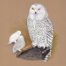 Snowy White Owl Painting Handmade Indian Bird Miniature Decor Nature Ethnic Art