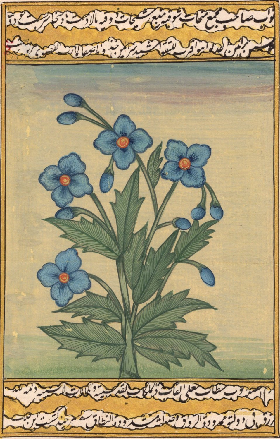 Mughal Miniature Floral Painting Handmade Moghul Flower Islamic Script Mughal Miniature Floral Painting Handmade Moghul Flower Islamic Script