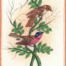 Bird Painting Handmade Watercolor Indian Miniature Ethnic Folk Decor Silk Art