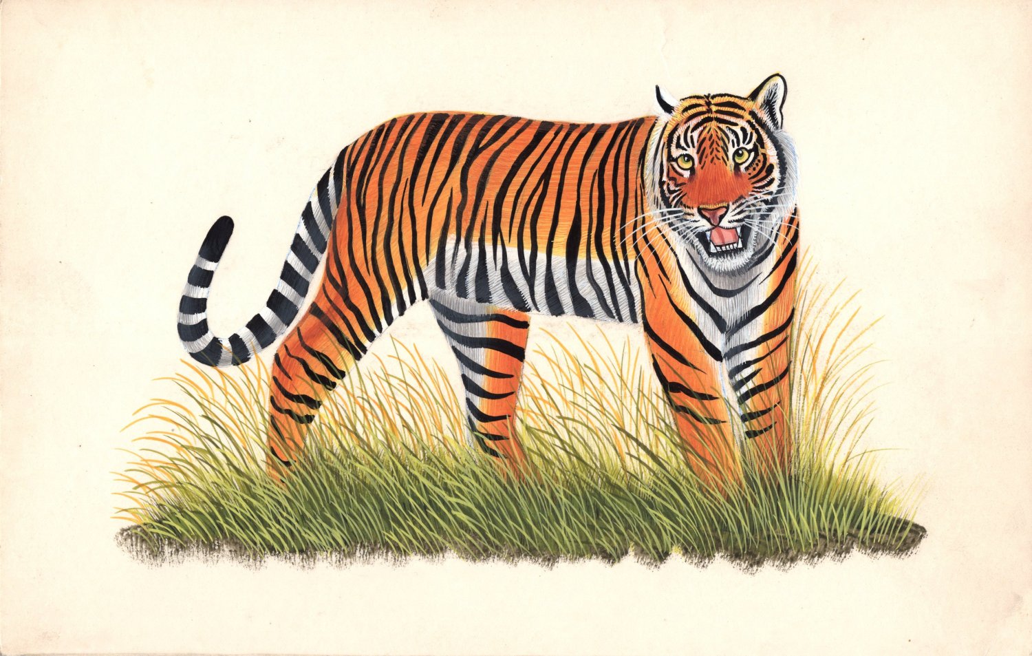 Бенгальский тигр развивающая картина для школьников