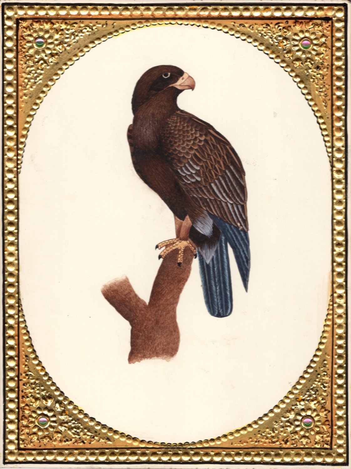 Bird of Prey Hawk Art Handmade Indian Miniature Ornithology Watercolor Painting
