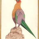 Tropical Long Tail Bird Painting Handmade Indian Nature Miniature Decor Artwork