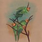 Parrot Flock Bird Painting Handmade Ornithology Indian Miniature Nature Artwork