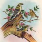Sparrow Bird Miniature Painting Handmade Watercolor Paper Ethnic Folk India Art