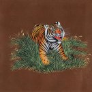 Bengal Tiger Painting Handpainted Indian Wildcat Animal Watercolor Miniature Art