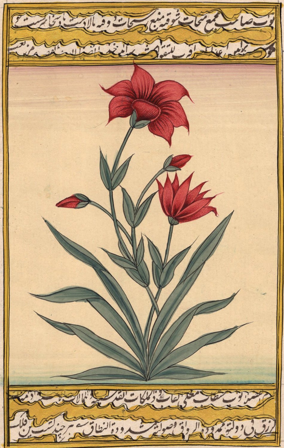 Mughal Flower Miniature Painting Handmade Indian Moghul Decor Tulip