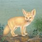 Indian Miniature Painting Handmade Fennec Fox Animal Watercolor Wild Life Art