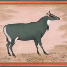 Indian Wild Life Miniature Art Handmade Neel Gai Blue Bull Watercolor Painting