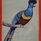 Great Blue Turaco Miniature Art Handmade Indian Nature Bird Watercolor Painting