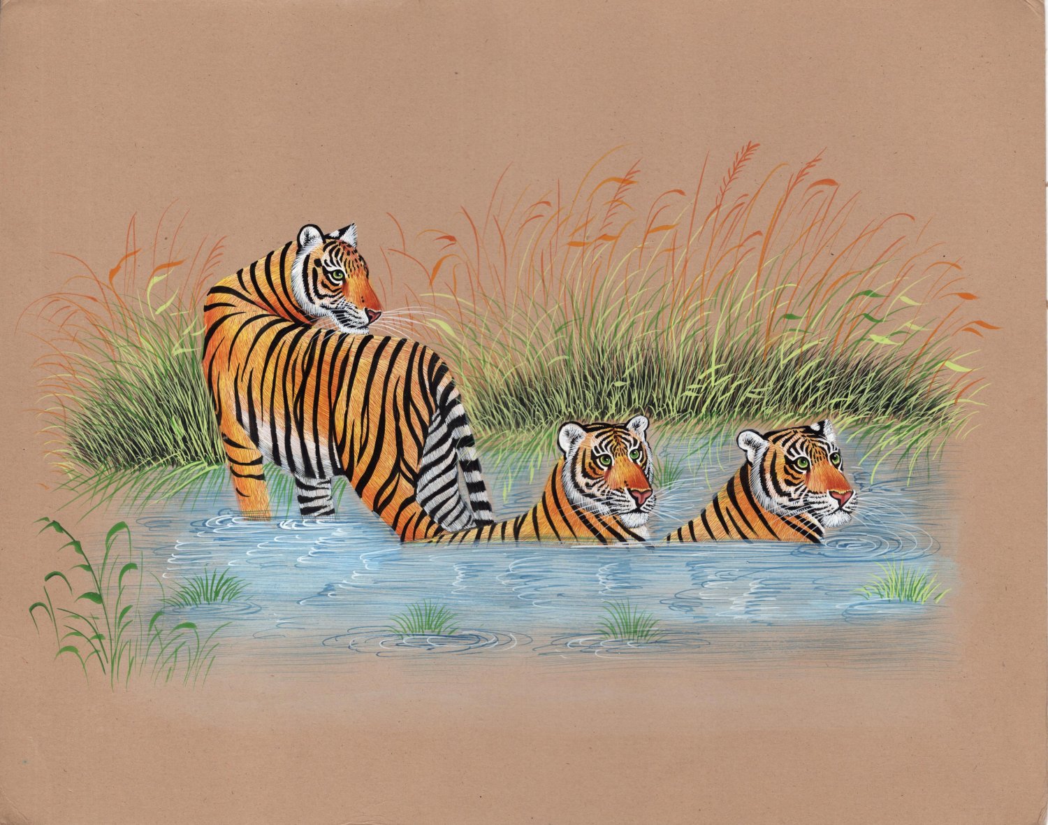 Бенгальский тигр акварель