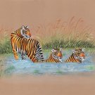 Royal Bengal Tiger Art Hand Painted Indian Wild Life Nature Watercolor Painting
