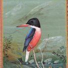 Indian Miniature Art Handmade Black Headed Kingfisher Wild Life Bird Painting