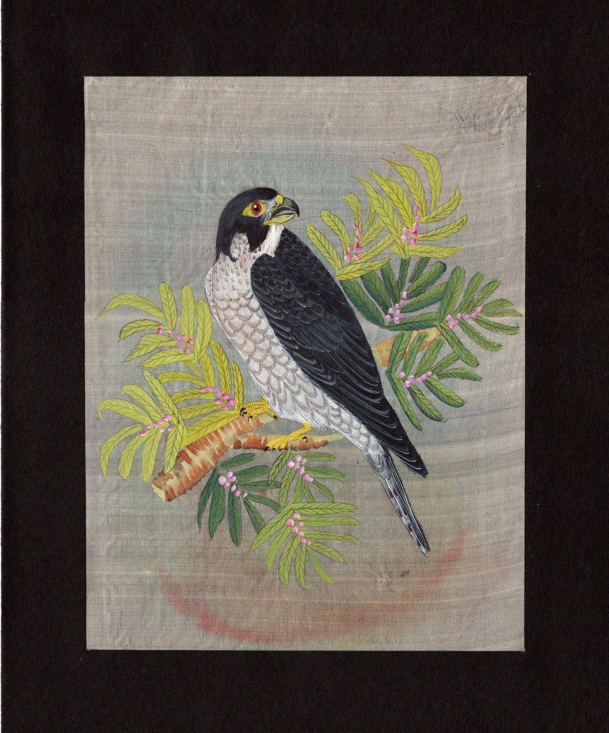 Indian Falcon Miniature Art Handmade Bird of Prey Miniature Nature Painting