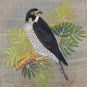 Indian Falcon Miniature Art Handmade Bird of Prey Miniature Nature Painting